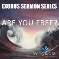 EXODUS: Are you free?
